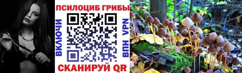 Галлюциногенные грибы Psilocybine cubensis Сухой Лог