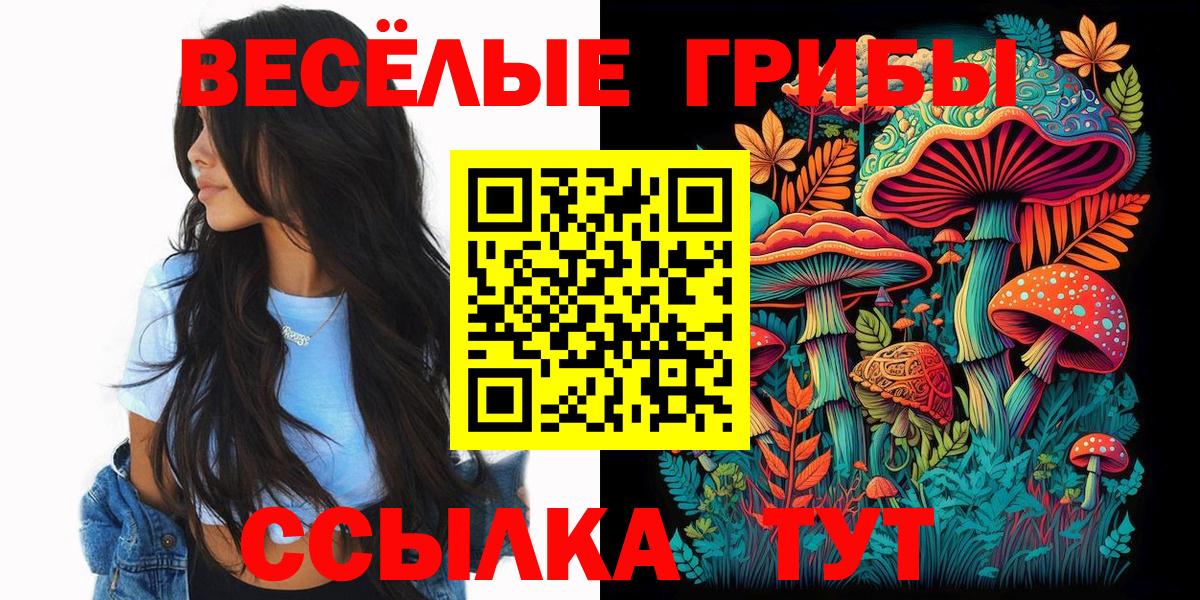 Сухой Лог  Галлюциногенные грибы мухоморы  Вход с VPN 